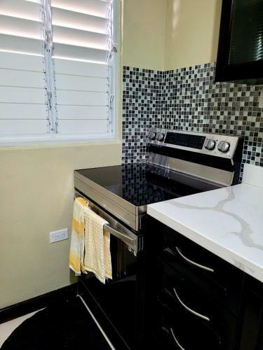 Apartamento The Oak At Constant Spring Road