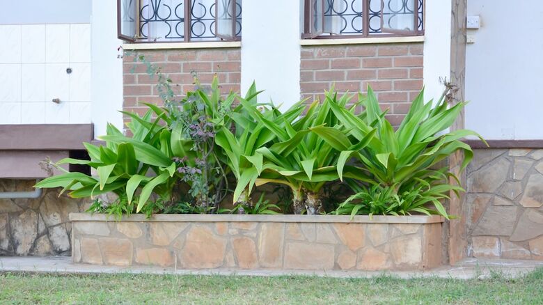 Kili-konka Holiday Villa