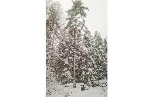 Holiday Home Fr�kentorp Malmk�ping