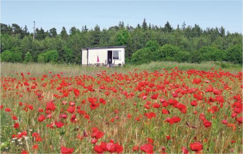 Holiday Home Klintehamn 51