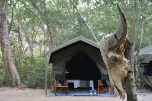 Hotel Mahoora Tented Safari Camp - Kumana