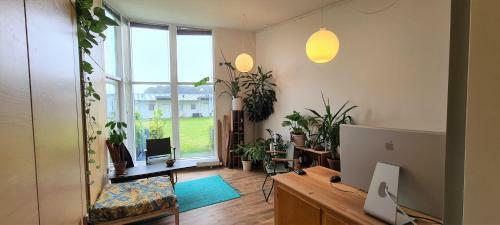 2 Room Apartment Close To Mch