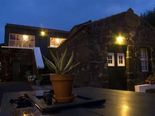Bed & Breakfast Pocinhobay