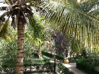 Royal Saly