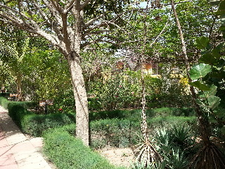 Royal Saly
