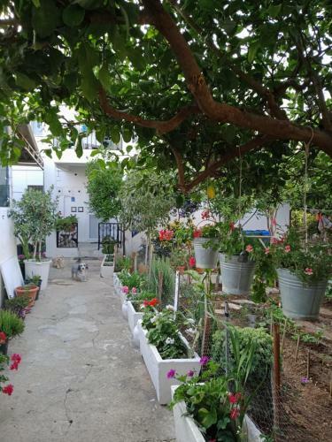 Large And Quite House In Bodrum Center