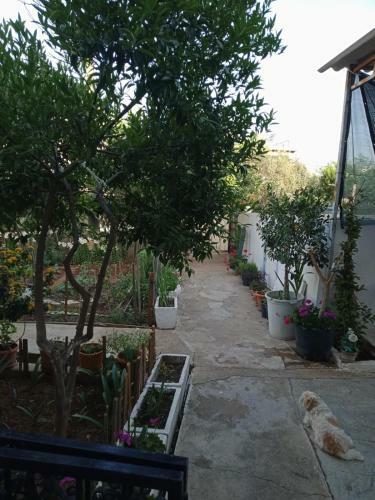 Large And Quite House In Bodrum Center