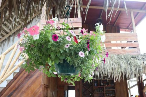Lodge Diosa De La Monta�a