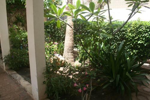 Albergue Auberge Keur Diame