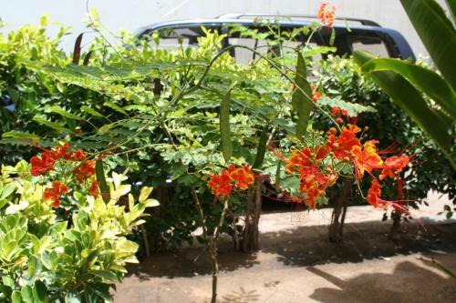 Albergue Auberge Keur Diame
