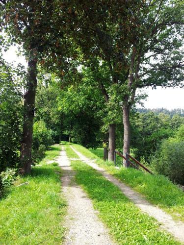 Hostal Pension Mlyn Stare Mitrovice