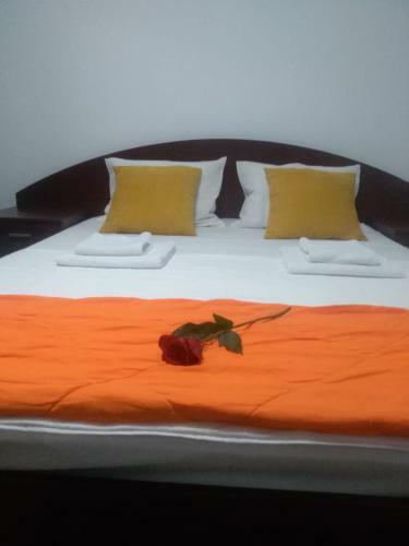 Apartamento Casa Cu Flori Constanta