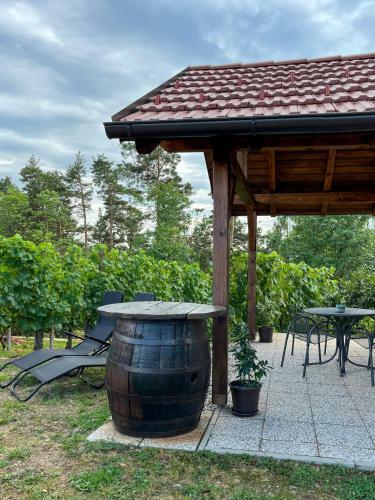 Holiday House Tomajna