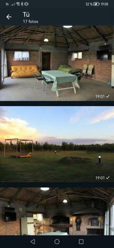Complejos Privado Olivos Y Ciruelos