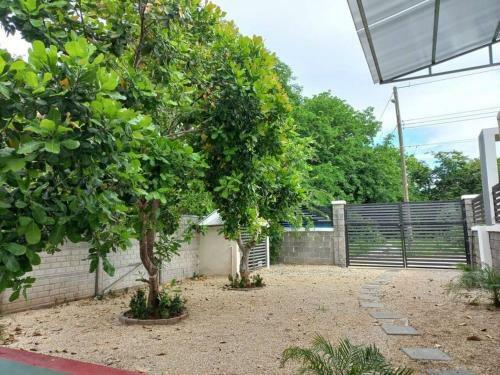 Villa Private House With Pool.10 Min Walk To Penca Beach