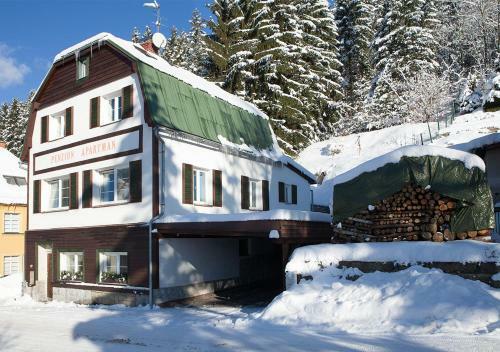 Penzion Apartm�n Janov