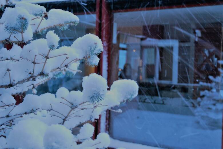 Hotel Alto Calafate