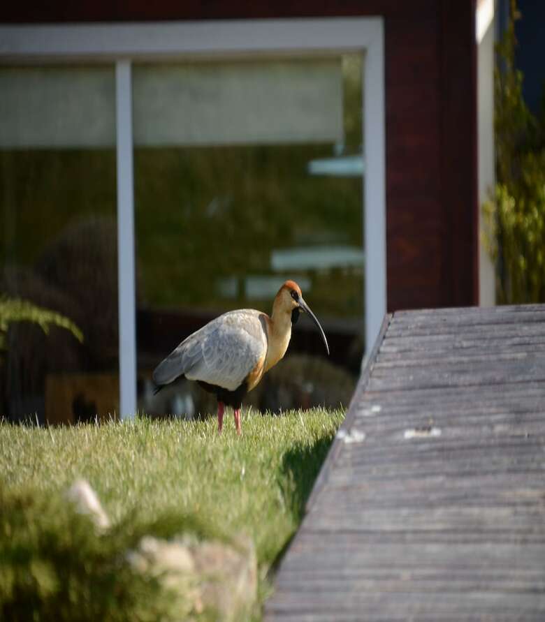 Hotel Alto Calafate