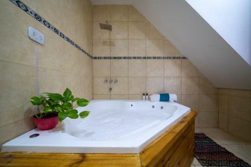 Apart Hotel Buenos Aires De Ezeiza