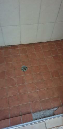 Agroturismo Palmietpan Guesthouse
