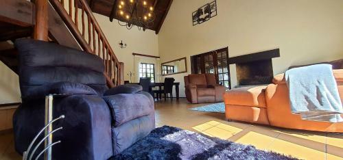 Room In A Private Bird Sanctuary