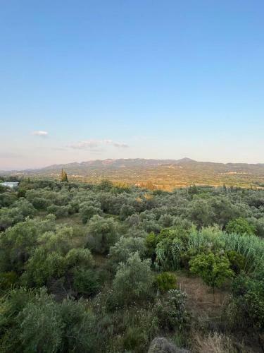 Apartamento Casa Di Nonna