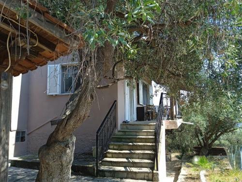 Ammolofoi Country Villa. 80 Steps From The Beach