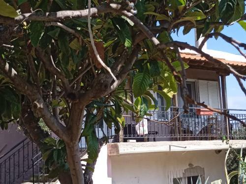 Ammolofoi Country Villa. 80 Steps From The Beach