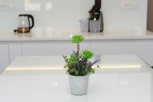 Apartman Milena