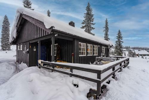 Cottage Right Next To Cross Country Tracks