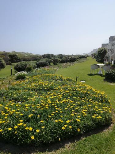 Apartamento Dolphin Beach H203 Table Mountain Views