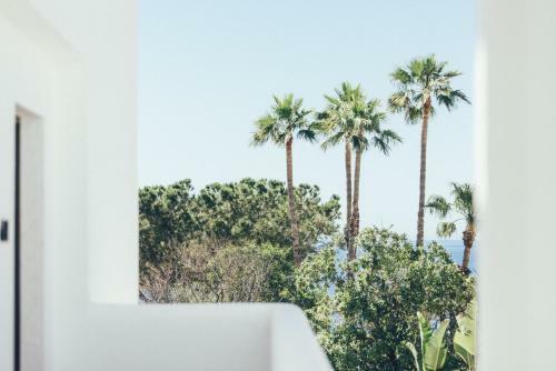 Apartamento Cala Lanuza Suites
