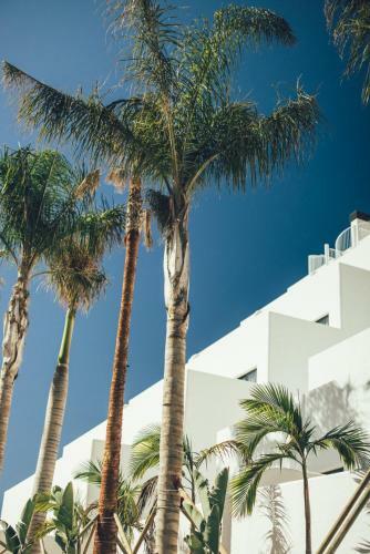 Apartamento Cala Lanuza Suites