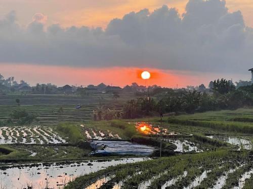 Luxury 5br Villa With Ocean, Mountain Ricefield Views