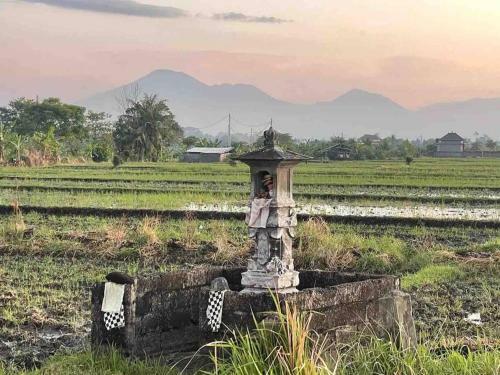 Luxury 5br Villa With Ocean, Mountain Ricefield Views