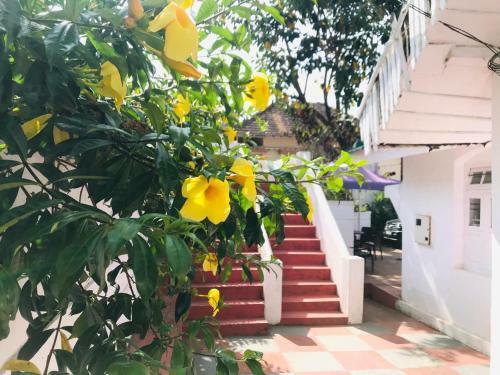 Vintage Villa Homestay Coorg