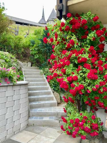 Bed & Breakfast Moserwirt Pension
