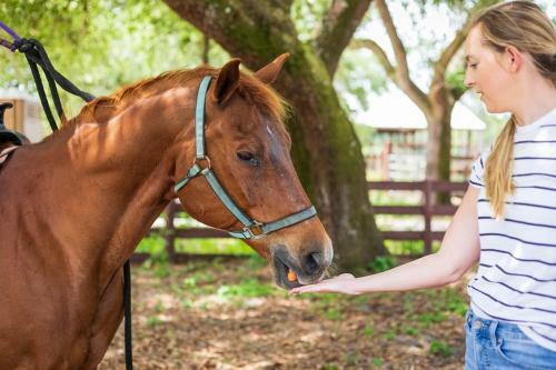 Hostal Heart Of Palms Ranch And Eco-farm
