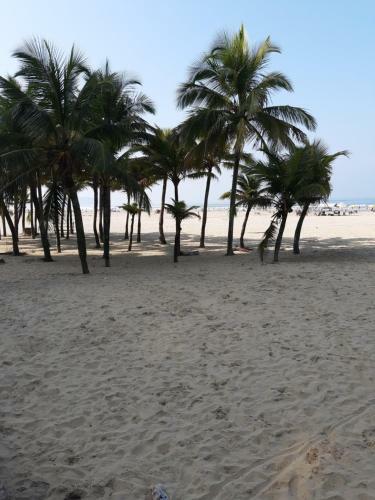 Apartamento Beira-mar Na Praia Da Avia��o