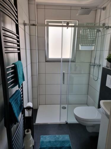 Apartamento Ferienhaus Steigrhein
