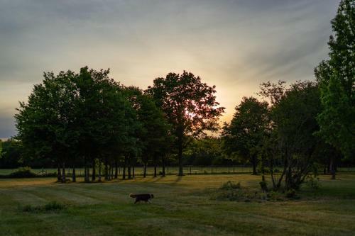 Villa Domaine Le Ch�ry