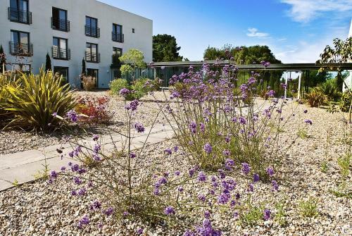Lifehouse Spa And Hotel