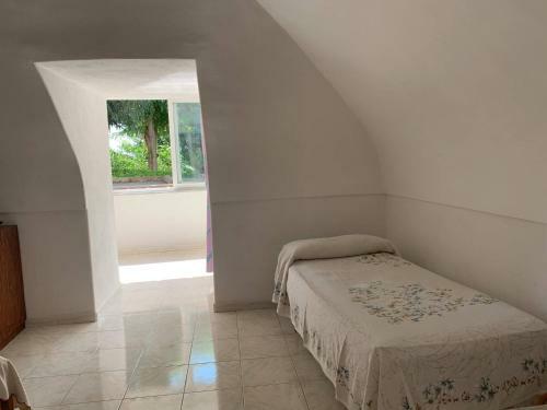 Apartamento Appartamento Ischia Porto