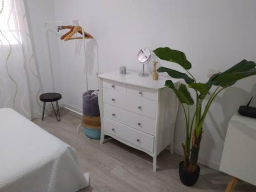 Apartamento Las Canteras Beach Studio