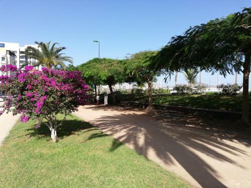 Apartamento La Marina-ciudad Jardin