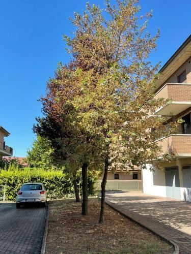 Apartamento Bilocale Country Chic 'maison Rose' Two Km From The Modena Sud Exit
