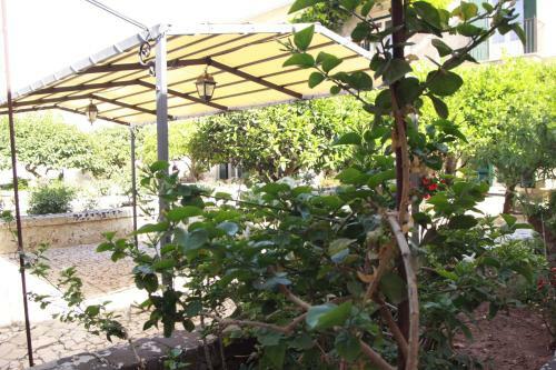 Apartamento Villa Aguglie - Alloggio Rosa