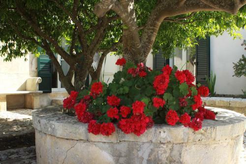 Apartamento Villa Aguglie - Alloggio Rosa