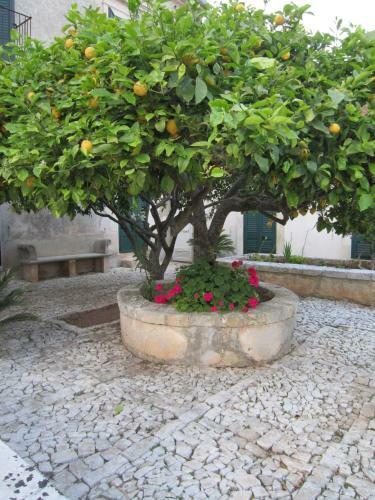 Apartamento Villa Aguglie - Alloggio Rosa