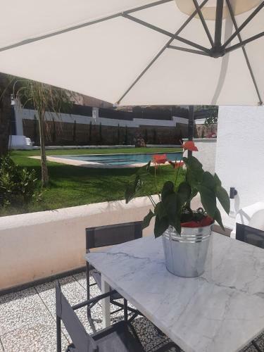 Apartamento Fondo Mondello